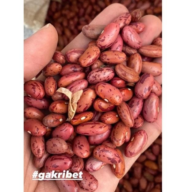 

Kacang Merah Brenebon Kacang Es AST nUg