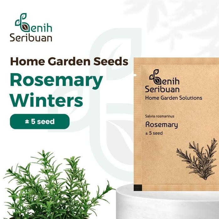 

Terlaris Benih Seribuan Bibit Rosemary Heirloom Tanaman Herb Premium