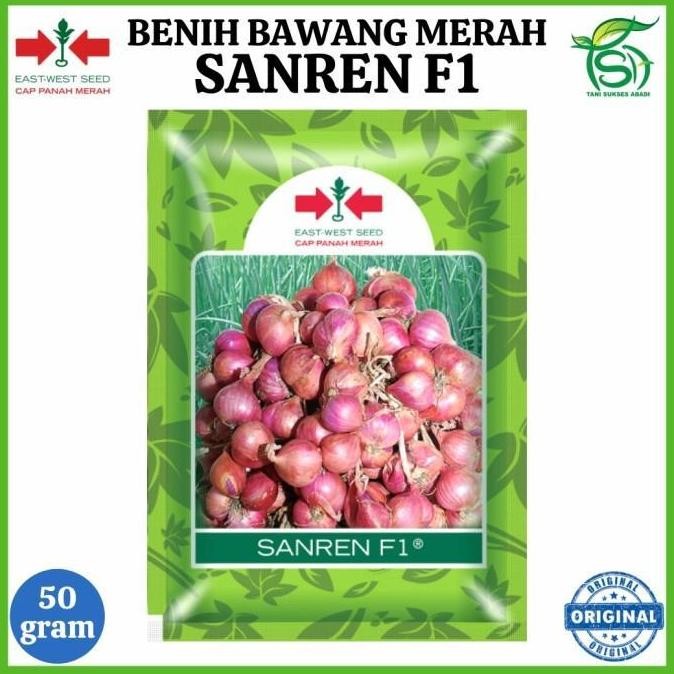 

Terlaris Original Benih Bawang Merah Sanren F1 (50 Gram) - Bibit Cap Panah Merah 50 Gr