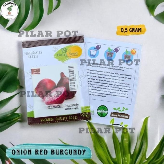 

Terlaris Benih Bibit Bawang Merah Red Burgundy Haira Seed - Bawang Red Burgundy