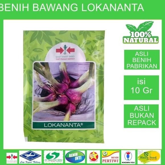 

Terlaris Bibit Benih Biji Seed Unggul Bawang Merah Lokananta Sanren 10 Gram