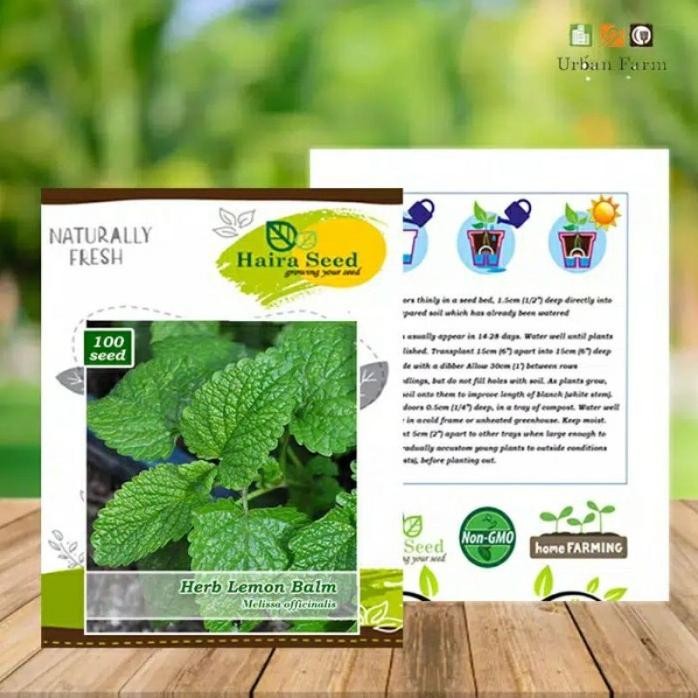 

Terlaris Benih-Bibit Herba Lemon Balm (Haira Seed) Daun Mint