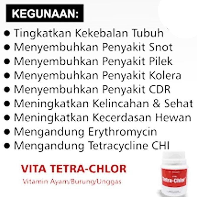 

Terlaris Obat Untuk Ayam Sakit Obat Ayam Ngorok Pilek Crd Tetra Chlor 50 Kapsul Vitamin Ayam Obat Penyakit Ayam Bisa Untuk Ikan Sakit Obat Ikan