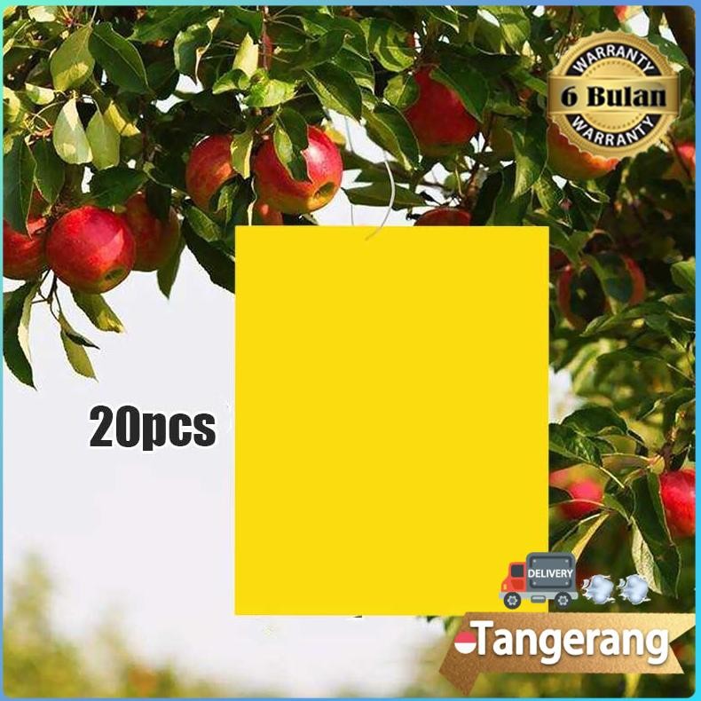 20pcs/Bag Yellow Trap Perangkap Hama Lem Perekat Lalat Buah Likat Kuning