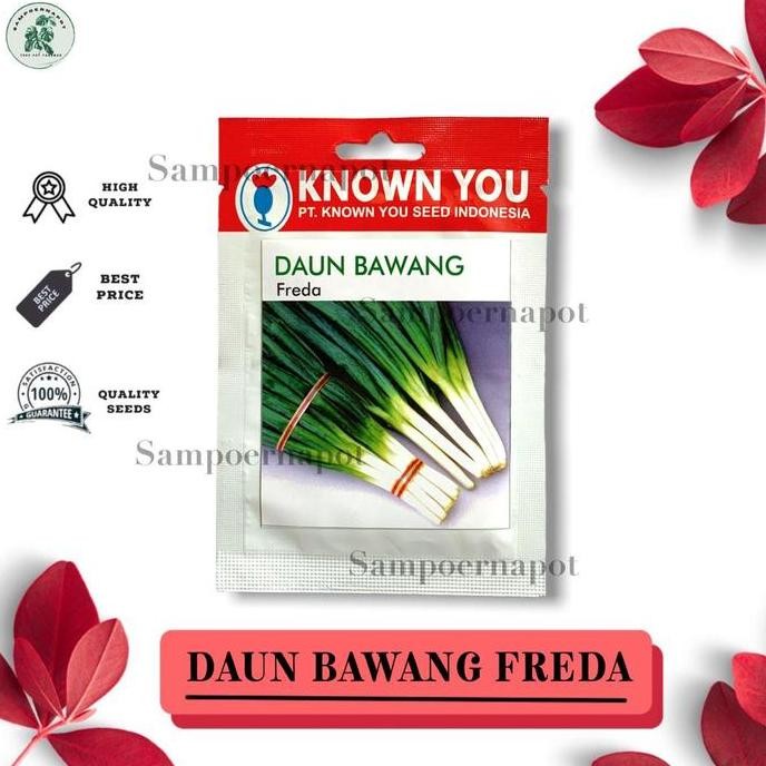 

Terlaris Benih Bibit Daun Bawang Freda Known You Seed - Kys Freda Kemasan Merah