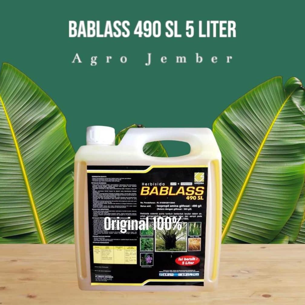 TERMURAH Herbisida Sistemik BABLASS BESAR - 5 Liter Siap kirim