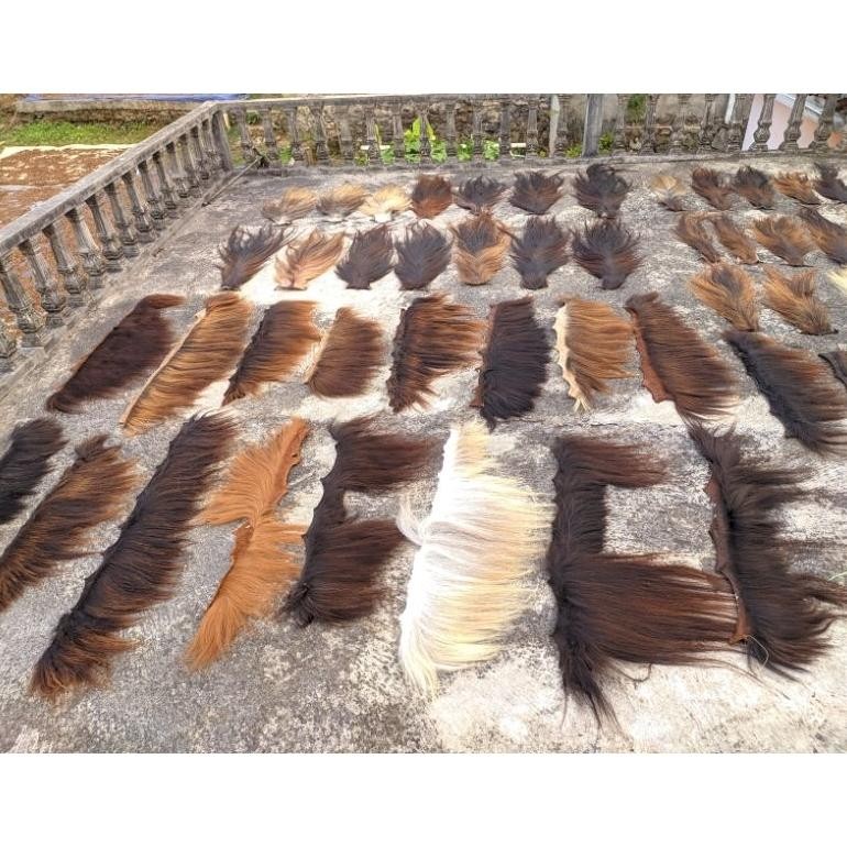 ed-76 Ekor/Suri kuda asli Original