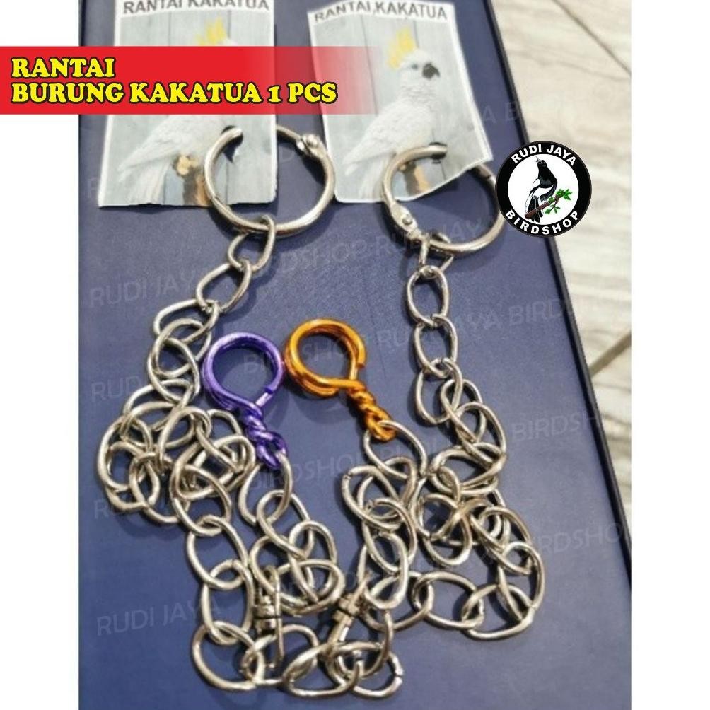 Be09 Dfg-88 Rantai Burung Kakatua 1 Pcs Tali Kaki Burung Kakaktua Nuri Panjang 35 Cm Untuk Tali Ikat