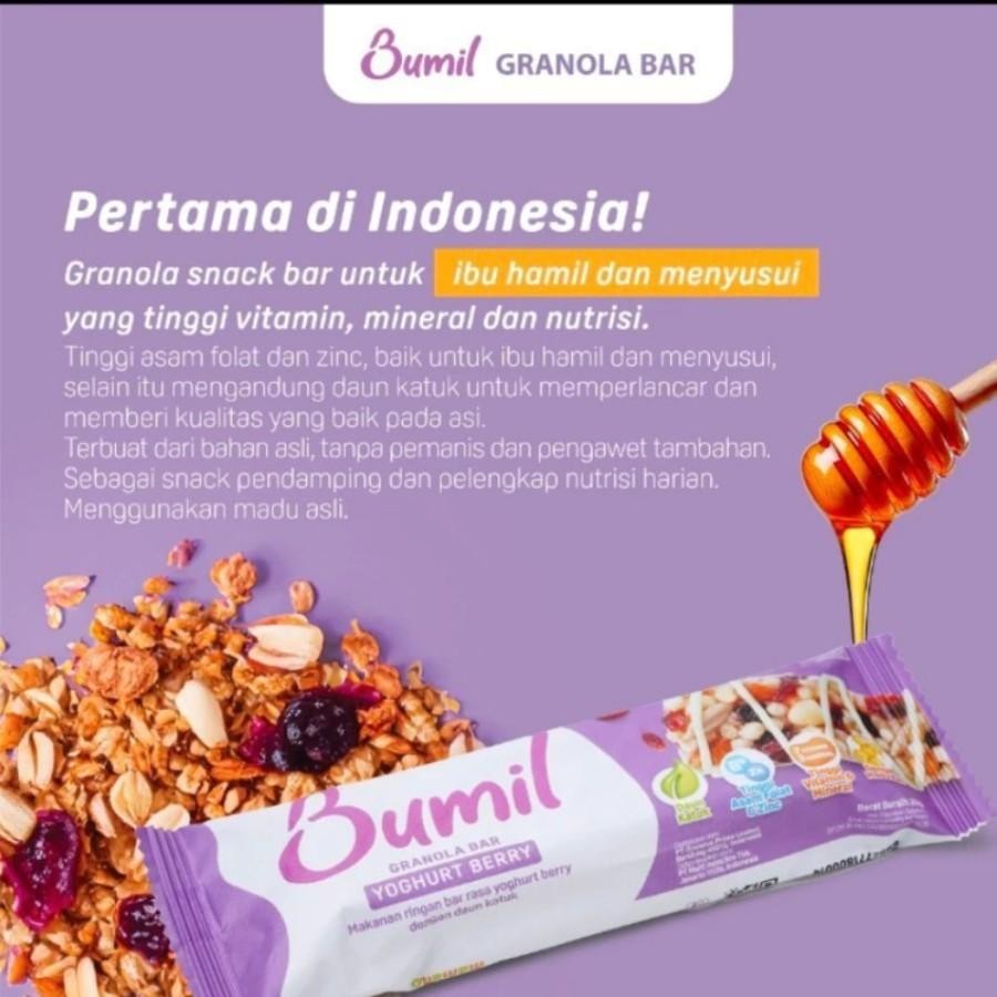 

Bumil Granola Snack Bar Rasa Yoghurt Berry - 26Gr | Granola Bar Tinggi Asam Folat & Zinc, Bumil, Busui, Melancarkan Asi