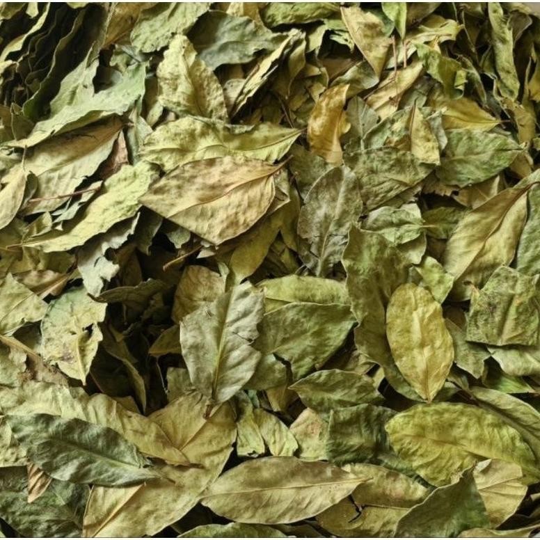 

Daun Salam Kering 500 Gram Bay Leeaf
