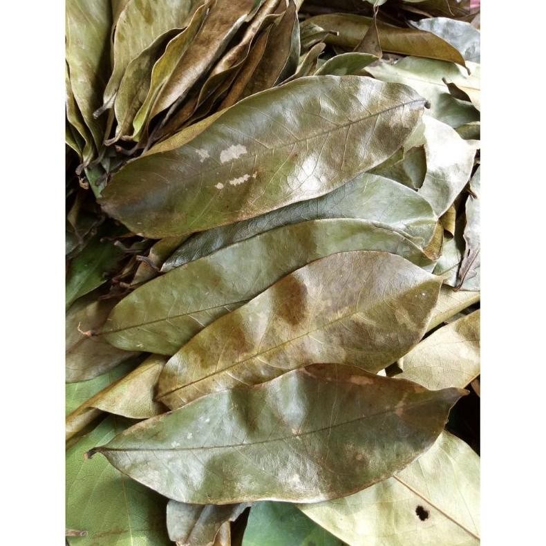 

Daun Sirsak 100 Gram Sirsat Kering