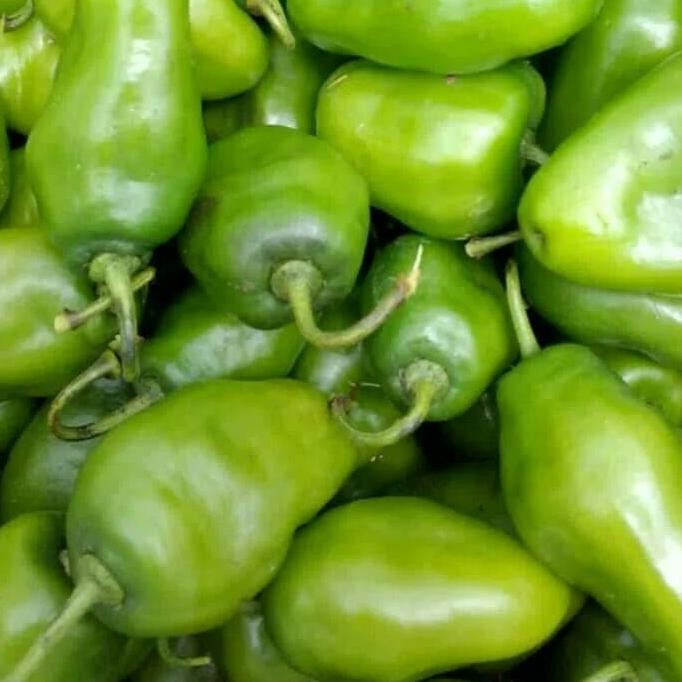 

Simplicity Cabai Gendot Cabe Gendot Bandung 250Gr Fresh