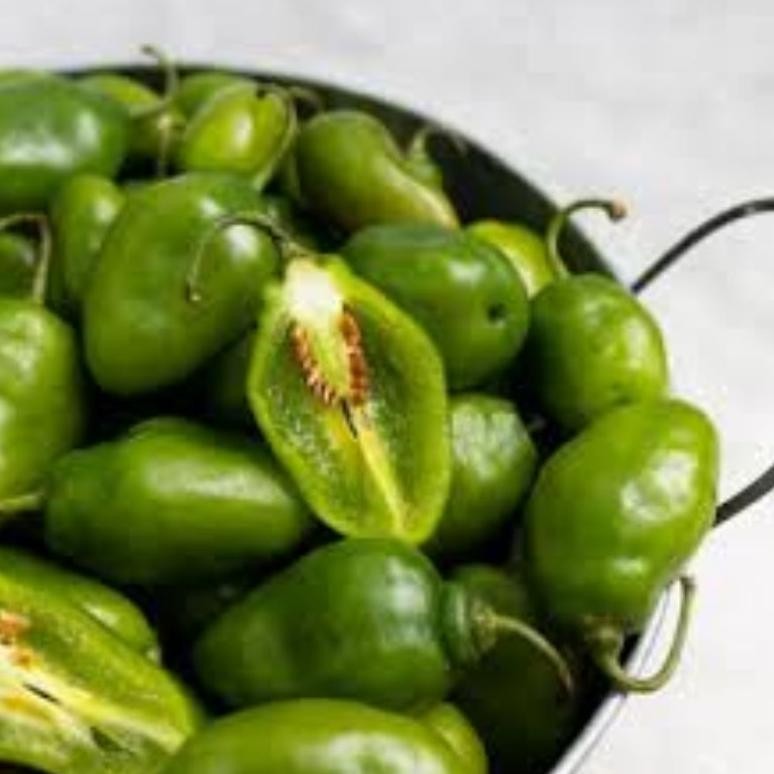 

Buktikan Cabe Gendot 1Kg (Fromo)
