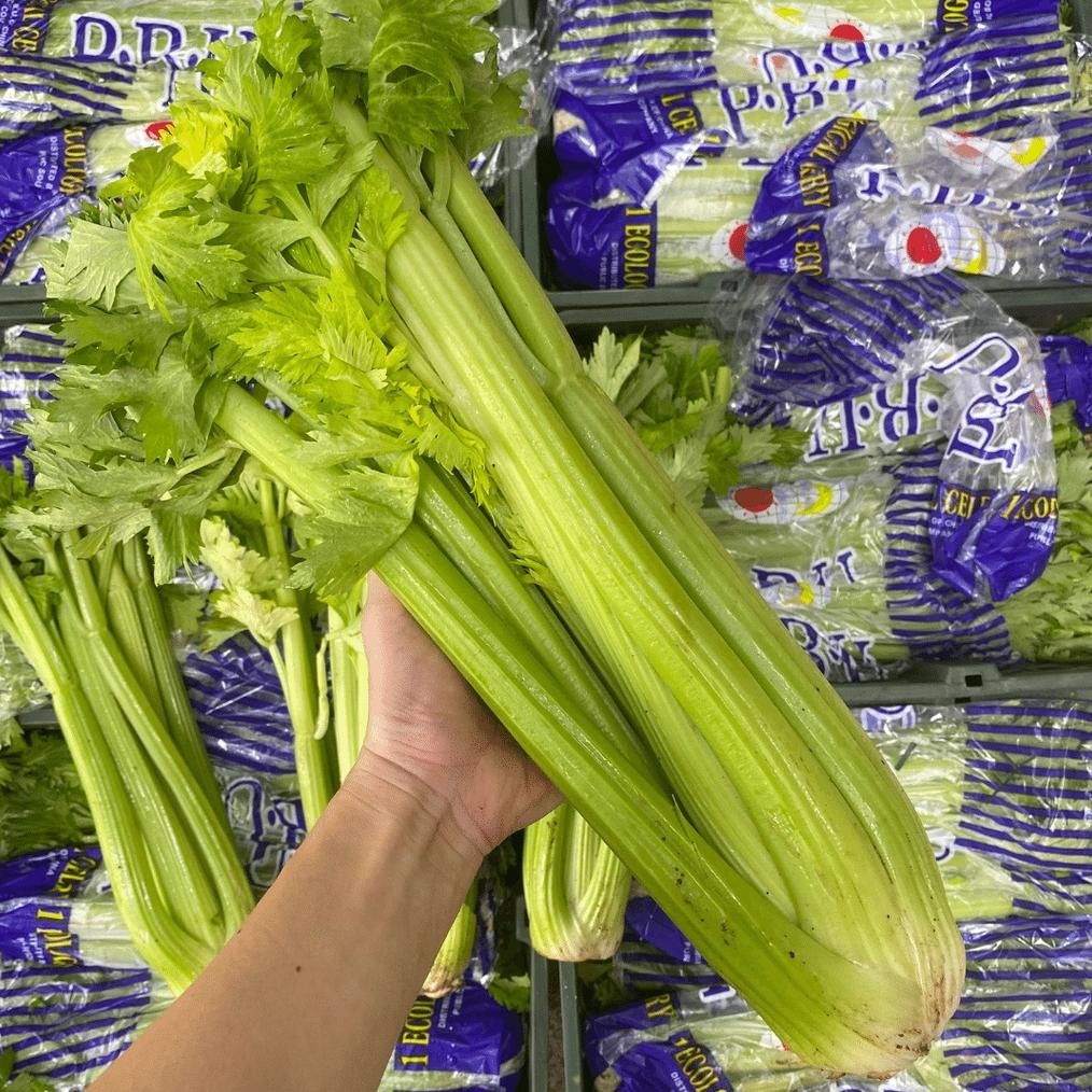 

Keunggulan Celery Stick / Seledri Stick / Batang Seledri Import 1Kg