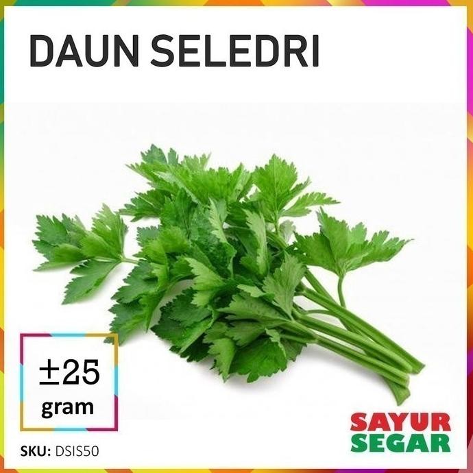 

Mampu Bersaing Daun Seledri Sayur [25G]