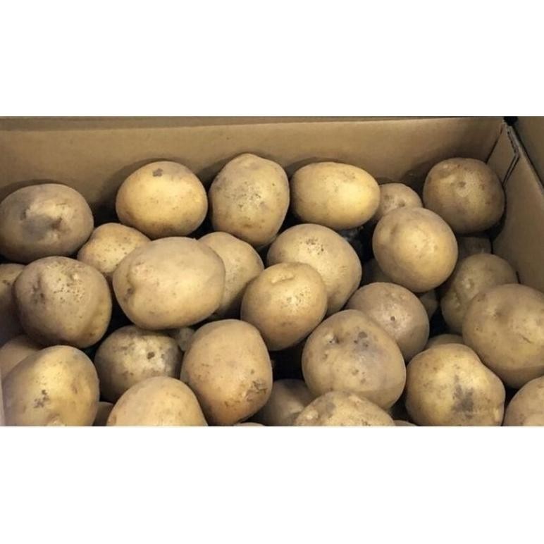 

Bermutu Kentang Super Segar [ Ukuran Sedang 500 Grm ]