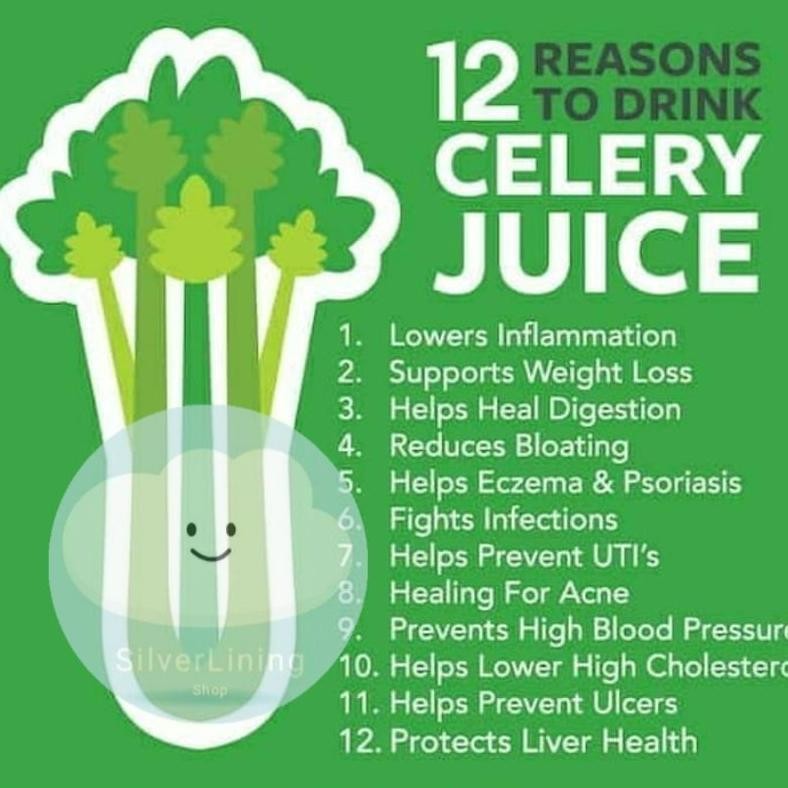 

Buktikan Celery Stick Seledri Stik Impor Per 1Kg