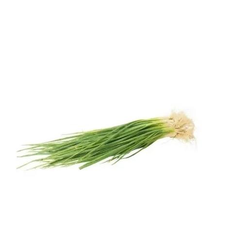 

Desain Elegan Daun Bawang Chung 100Gram