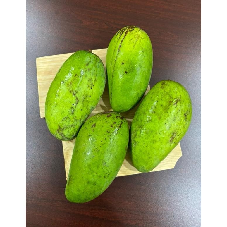 

Trending Instant Mangga Kiojay Thailand Segar Manis 1 Pcs