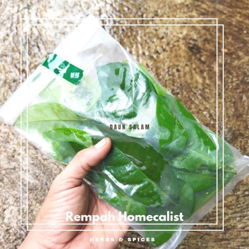 

Mudah Perawatan Daun Salam Segar