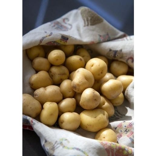 

Nikmati Kentang Mini 1 Kg