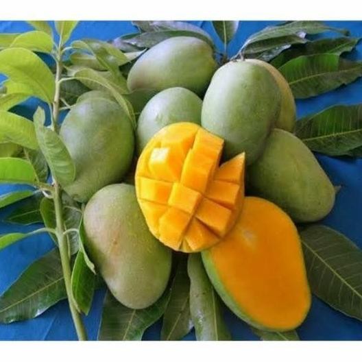 

Fitur Lengkap Buah Mangga Manalagi Madu 1Kg (Isi 5-6Buah) - Jonsmart [Khusus Instan Dan Sameday]