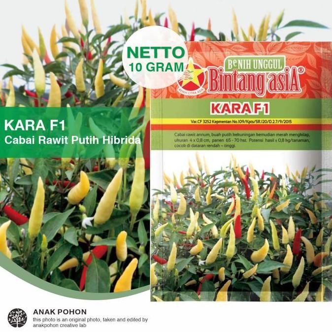 (1 PACK) Benih Cabai Rawit KARA F1 Cabe Rawit Pedas Annum Putih F1 murah