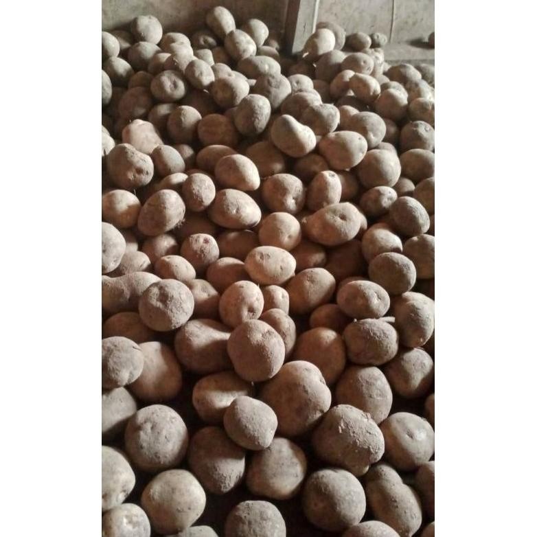 

Promo Kentang Segar [ Ukuran Kecil ] 1 Kg