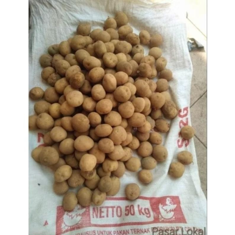 

Nikmati Kentang Super Segar Kecil Sedang Segar (1 Kg)