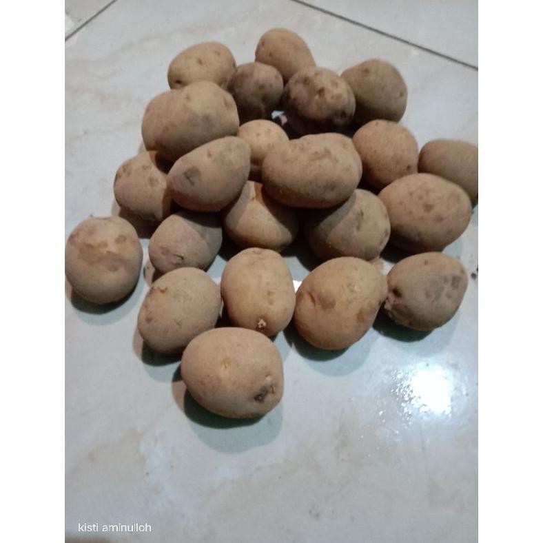 

Pilihan Tepat Kentang Kuning Dn 1Kg, Kentang Kuning