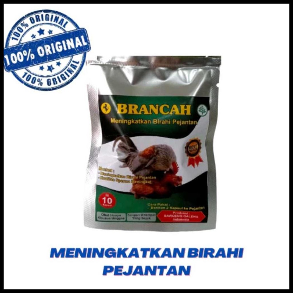 BRANCAH SAWOENG GALENG SACHET MENINGKATKAN BIRAHI AYAM JANTAN KAWIN