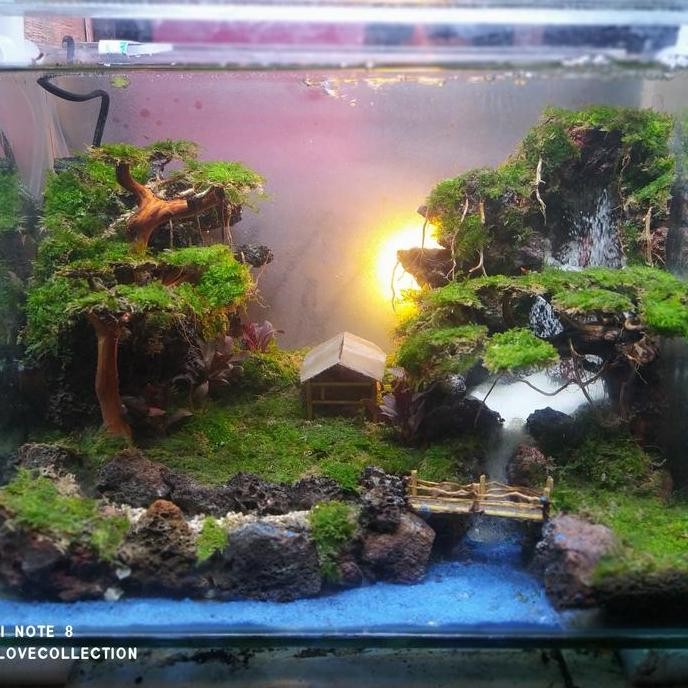 Aquarium Aquascape 40Cm Waterfall Fullset Murah