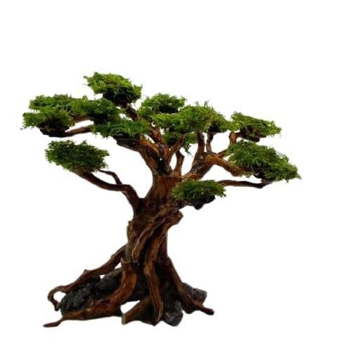 Terlaris Pohon Bonsai Sakura Banten Untuk Aquascape Aquarium Siap Pasang