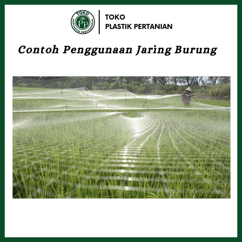 Jaring Burung 0.12 100Md 100 Yard - Jaring Pelindung Padi Spaylater 0%|Terlaris|Trend|Baru|Ready|Rea