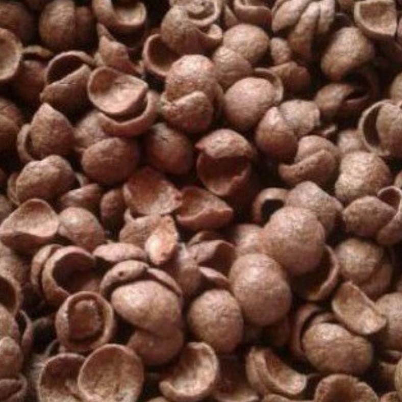 

Ready Coco Crunch Duo 500Gr (1/2Kg) - Choco Chip Sereal Coklat Sarapan - Cemilan