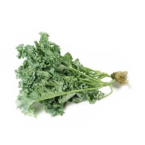 

Kale Curly Hidroponi Kiosayur