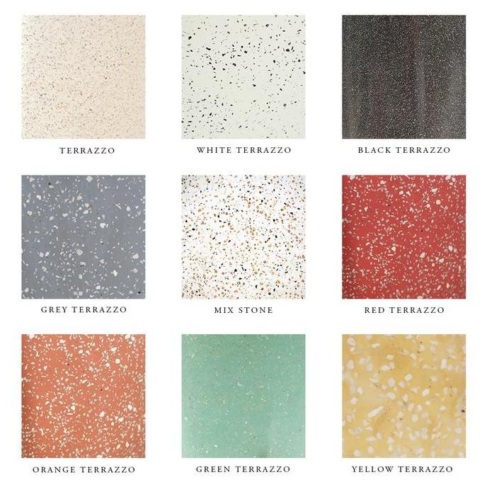 fresh Tanaman Dracaena Janet Craig murah