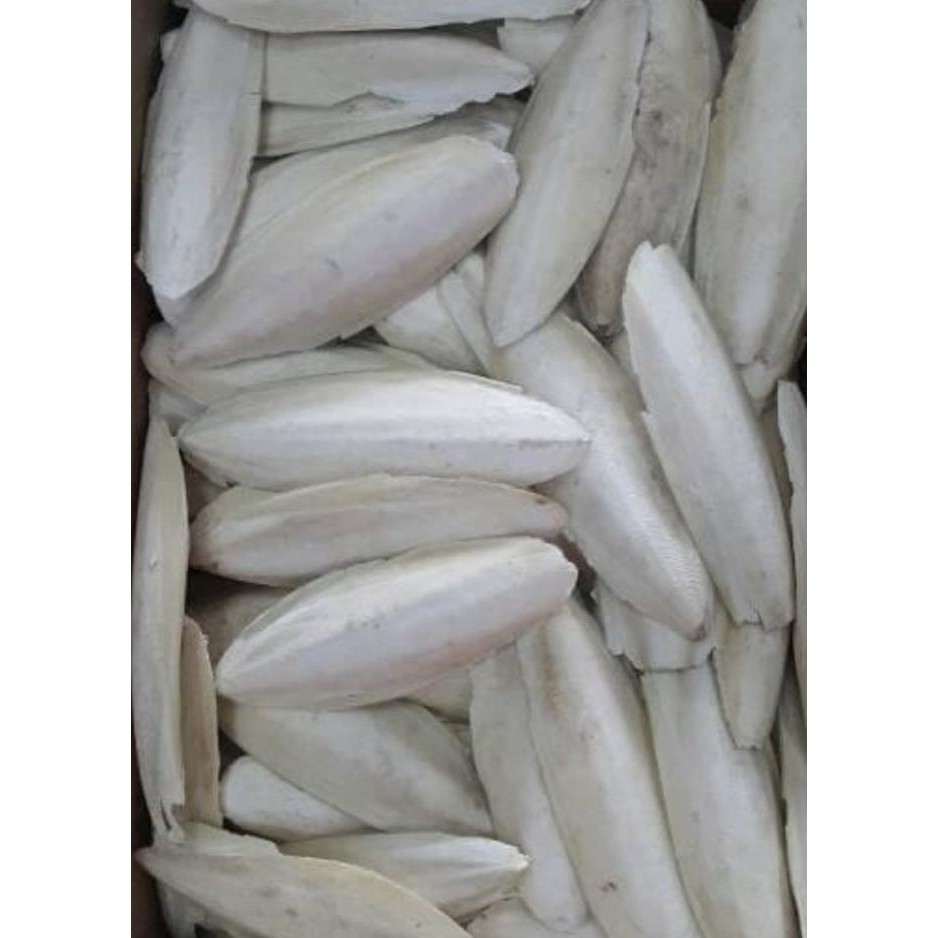 

(Expert) Tepung Sotong Murni 100 % untuk Pakan Ternak Kemasan 1 kg