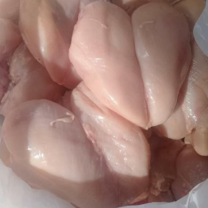 

(Expert) fillet dada ayam fresh