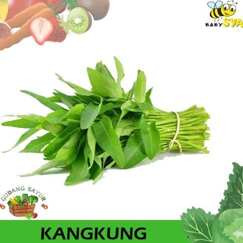 

Kangkung 1 Ikat Sayur Segar Bekasi Jakarta Timur Utara Selatan Pusat
