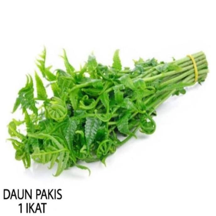 

DAUN PAKIS SAYUR SEGAR | tukang sayur jkt