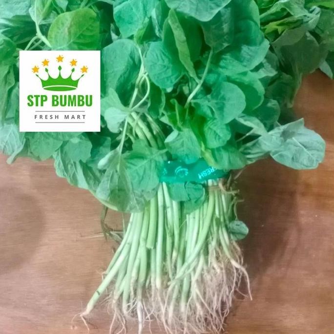 

Sayur Bayam Hijau Segar