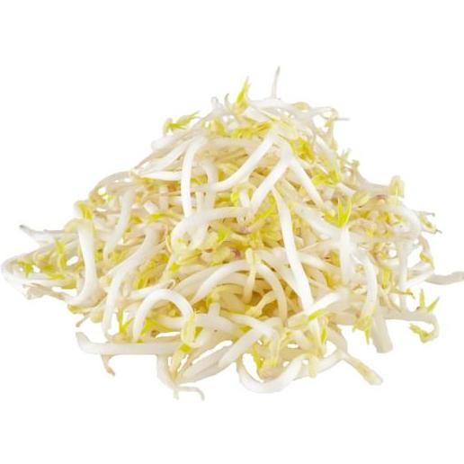 

Kecambah Tauge Sayur Segar