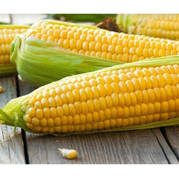 

LOLA Sayur Segar Jagung Manis KULIT Sweet Corn 1 tongkol