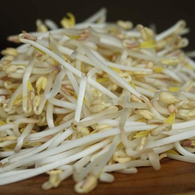 

Tauge Sayur Segar | Tauge Kecambah
