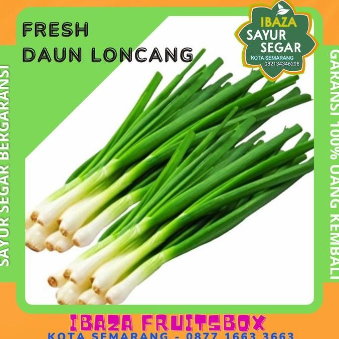 

Sayur Loncang / Daun Bawang / Onclang Sayur Segar IBAZA fruitsBOX