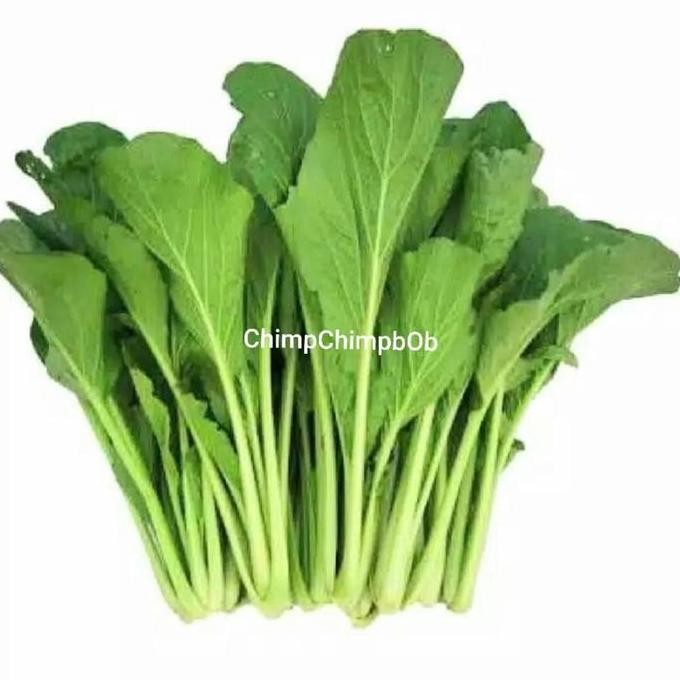 

SAWI HIJAU 250 GRAM / SAYUR HIJAU SEGAR / FRESH CAISIM 250 GRAM EACH