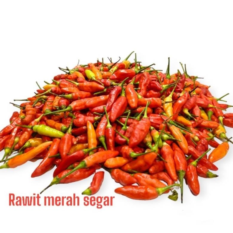 

Cabe / Cabai RAWIT MERAH