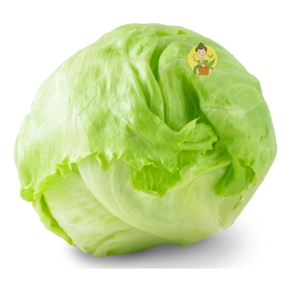 

Lettuce Iceberg 500 gram