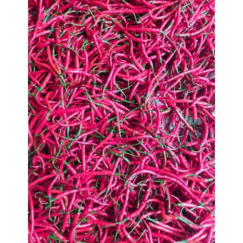 

CABE / CABAI MERAH KERITING 500GR SEGAR